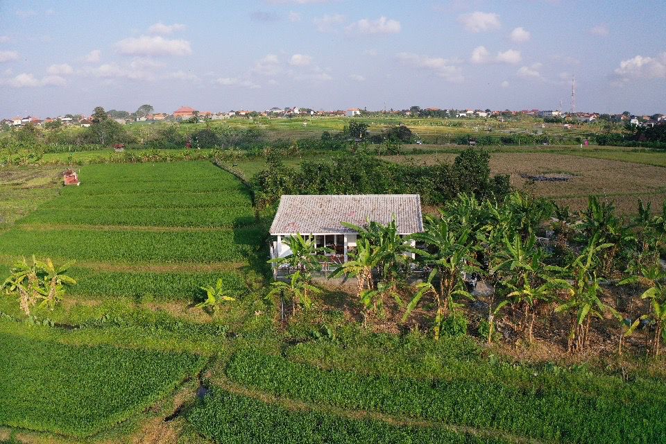 Brand New Villa in The Middle of Rice Fields